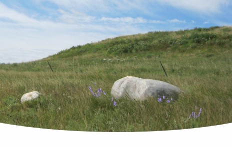 Boulders On The Prairie of South Dakota